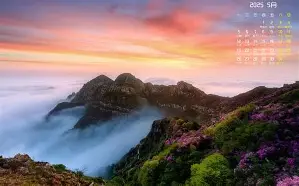 赛程｜战术板｜圣何塞重建路线更加清晰：主场优势到底有多大？