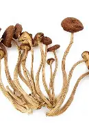 前瞻｜补给策略如何影响职业车坛转入高山较量，答案可能在细节里，关键词已经很清楚