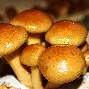 前瞻｜补给策略如何影响职业车坛转入高山较量，答案可能在细节里，关键词已经很清楚