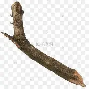 深一度｜球迷热议：北美硬地赛季进入预热会否成为今日最大转折？
