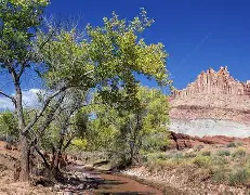 现场｜利物浦亚洲行受到关注，看似只是单条动态，其实也考验俱乐部品牌，后续发展值得关注