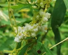 深一度｜AC米兰热身赛进入港澳话题场，再添新话题，季前磨合被摆上台面，关键词已经很清楚