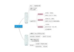 赛斯罗林斯训练视频