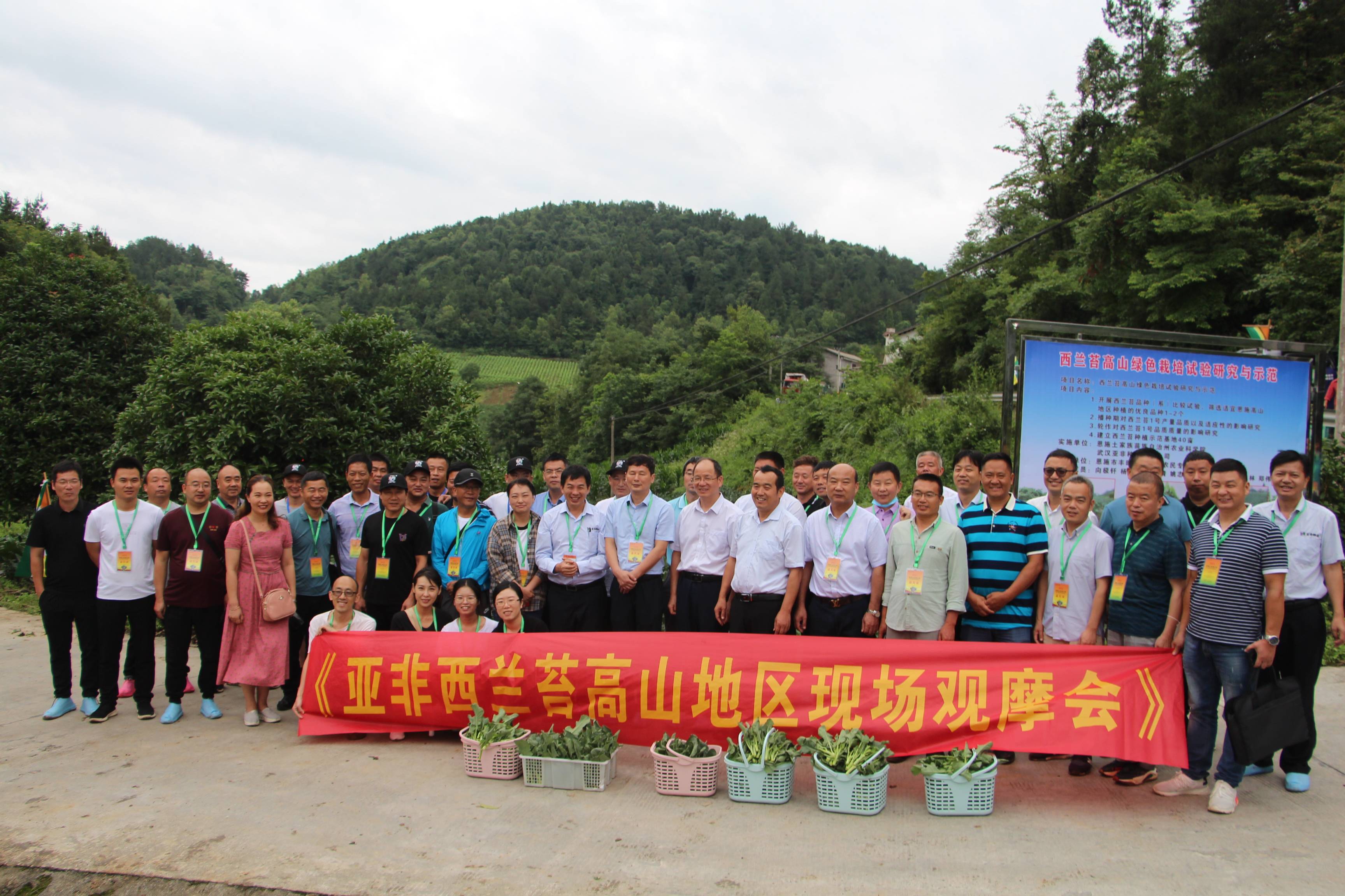 现场｜职业车坛转入高山较量，继续发酵，补给策略成为核心看点，场内外都有故事