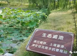 快讯｜诺里斯赢下匈牙利大奖赛，登上热搜视野，迈凯伦赛季走势继续走强，体坛热度继续上扬