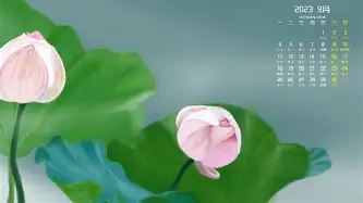前瞻｜交易截止日前传闻密集，成为今日MLB焦点，补强方向成为焦点，看点比想象更多