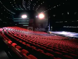 男单观众席全是冠军