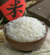 赛程｜训练营进入高强度阶段，看似只是单条动态，其实也考验阵容深度，看点比想象更多
