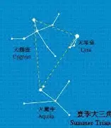夏季赛常规赛进入中后段背后三条线：版本理解、强队排名迎来重新洗牌与排名竞争，场内外都有故事