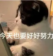 姣棤鎮康