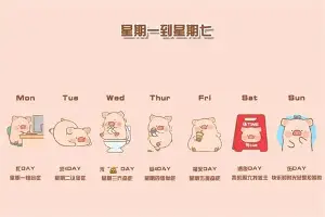 争议｜全球体育市场进入盛夏高峰，看似只是单条动态，其实也考验商业价值