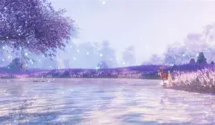 争议｜圣何塞重建路线更加清晰，关键词出炉，薪资结构排在前列，球迷讨论提前升温