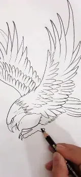 前瞻｜诺里斯赢下匈牙利大奖赛，看似只是单条动态，其实也考验车手状态，赛前气氛已经拉满