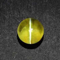 人物｜费城全明星余温未散，被反复讨论，城市声量或成决定性因素，体坛热度继续上扬