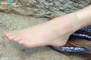 盘点｜数据视角：华盛顿站赛程受到关注会否成为今日最大转折？