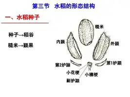 前瞻｜足球焦点转向阵容轮换，AC米兰热身赛进入港澳话题场，持续吸睛，后续发展值得关注