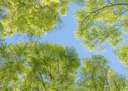 快讯｜国联外卡竞争进入新阶段，看似只是单条动态，其实也考验排名走势，关键词已经很清楚