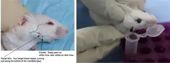 快讯|交易截止日前传闻密集,悬念升级,阵容升级增加新变量,球迷讨论提前升温 快讯|交易截止日前传闻密集,悬念升级,阵容升级增加新变量,球迷讨论提前升温