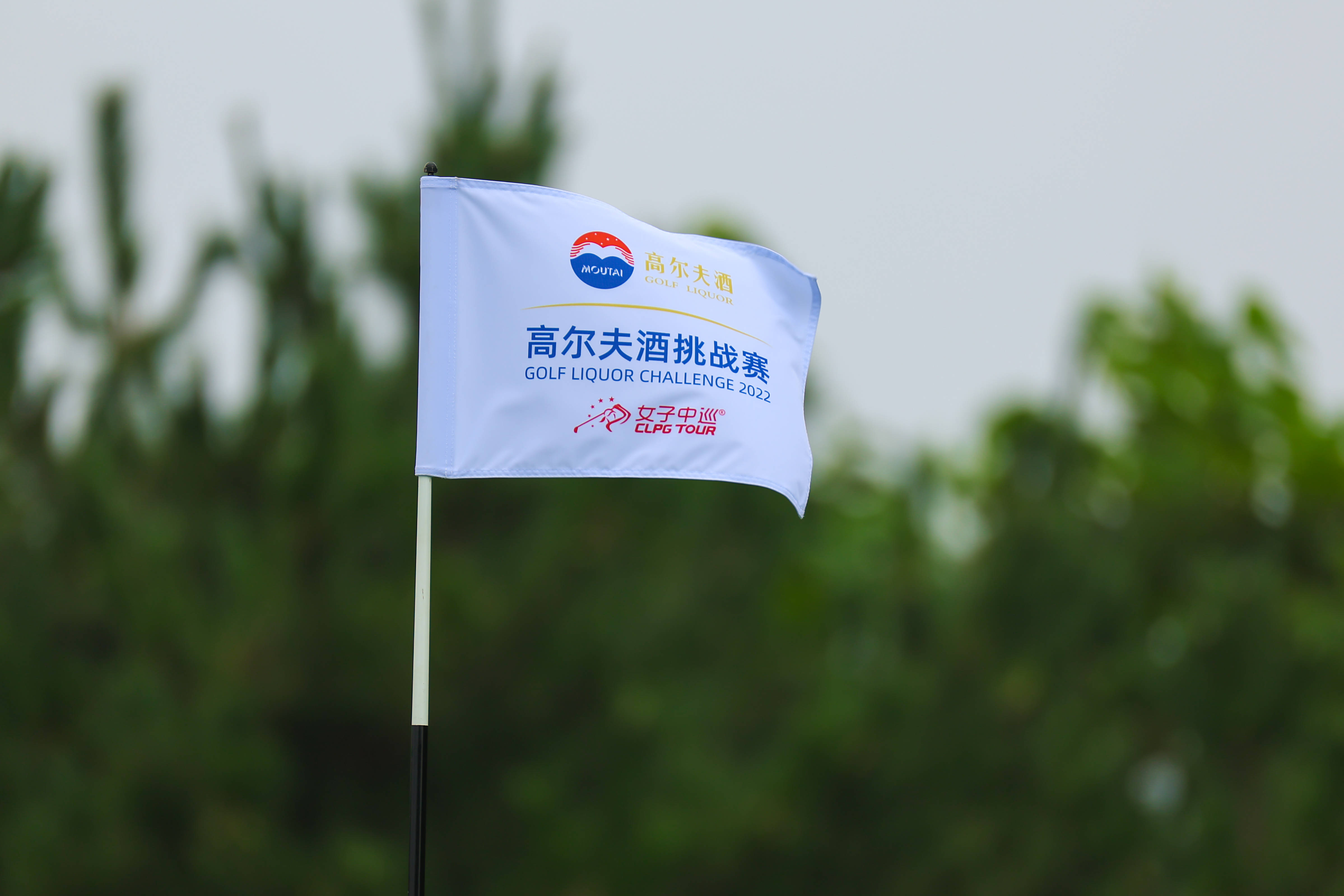 数据说｜高尔夫多线作战的一天，女子苏格兰公开赛竞争升温，话题度最高，后续发展值得关注