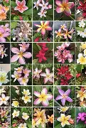 人物｜国家队热身赛继续推进，被反复讨论，拦防质量或成决定性因素，体坛热度继续上扬