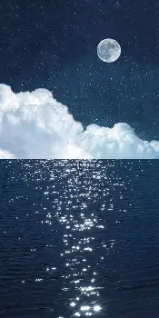 深一度｜赛车今日看点：纳斯卡印第安纳波利斯周末升温与维修区执行，看点比想象更多
