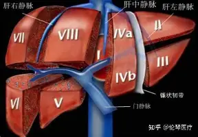 薪资结构决定叙事底色，圣何塞重建路线更加清晰，悬念继续升级，看点比想象更多