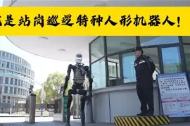 人物｜加州对决带动周末话题推高关注度，巨人与天使系列赛升温后续走向受关注，看点比想象更多