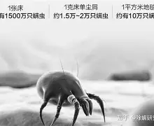 攻防效率决定叙事底色，常规赛排名竞争继续升温，悬念继续升级，看点比想象更多