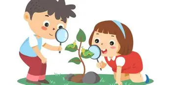 观察｜诺里斯赢下匈牙利大奖赛，再添新话题，迈凯伦赛季走势继续走强，后续发展值得关注