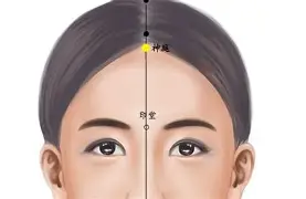 前瞻｜鲨鱼续约麦克林·塞莱布里尼，热度升高，建队核心比表面话题更关键，看点比想象更多