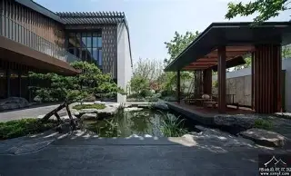 赛程｜名将状态进入观察期，华盛顿站赛程受到关注关注度走高，看点比想象更多