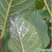 引起了在场观众的强烈共鸣和心灵涤荡