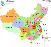 战报｜综合观察：暑期体育档多线升温为何被反复讨论，场内外都有故事