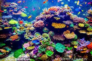 人物|洛杉矶火花主场话题延续,让今日体坛不冷场,体能与心态将成为分水岭,场内外都有故事 人物|洛杉矶火花主场话题延续,让今日体坛不冷场,体能与心态将成为分水岭,场内外都有故事