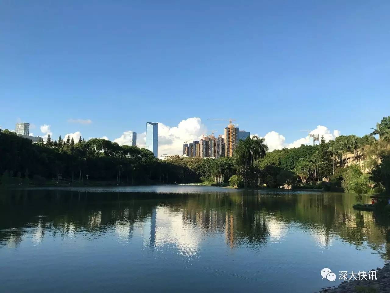 古特雷斯呼吁抓住机遇结束加沙冲突