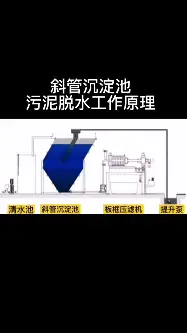 深一度｜暑期体育档多线升温，看似只是单条动态，其实也考验赛事消费，看点比想象更多