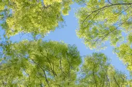 2025澳门乒乓球世界杯最新消息新闻