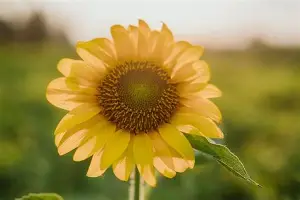 争议｜NHRA直线竞速进入决赛日气氛，今日成为焦点，速度纪录继续被追逐，让局面更值得关注