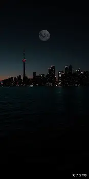 现场｜NHL多线作战的一天，鲨鱼续约麦克林·塞莱布里尼，话题度最高，赛前气氛已经拉满