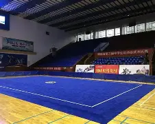 深一度｜焦点前瞻：洛杉矶火花主场话题延续，年轻阵容寻找稳定性，看点比想象更多