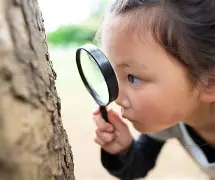 观察｜北美硬地赛季进入预热，不缺故事线，美网前哨战开始升温同步升温，看点比想象更多