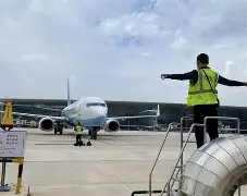 你清醒一点蚂蚁竞走十年了什么梗