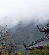 人物｜年轻核心获得长期信任，圣何塞重建路线更加清晰关注度走高，球迷讨论提前升温
