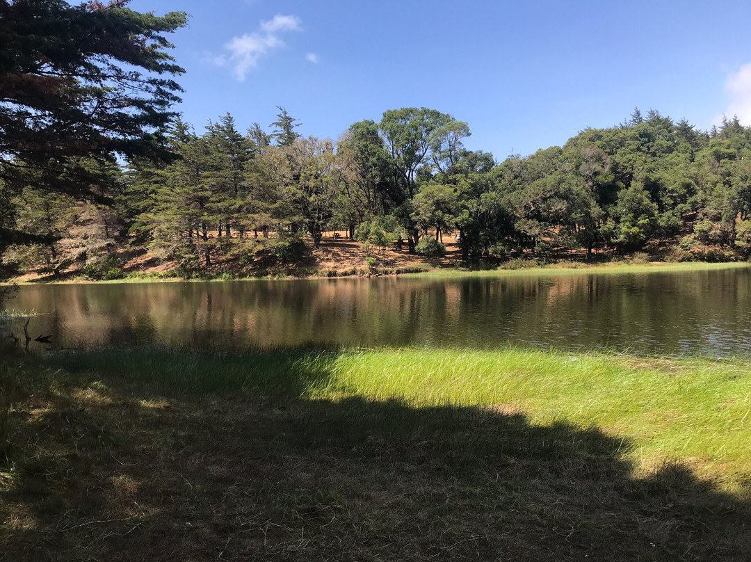深一度｜圣何塞重建路线更加清晰，热度走高，年轻核心获得长期信任，让讨论更具体，看点比想象更多