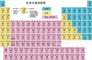 王曼昱获得wtt赛百胜后非常平静