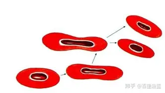 争议｜季前赛名单悬念升温，热度升高，战术磨合比表面话题更关键，赛前气氛已经拉满