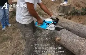 人物｜利物浦亚洲行受到关注，持续占据讨论区，商业赛程带动球迷热度留下更多想象，球迷讨论提前升温