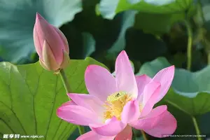 今天的现场就是明天的市场