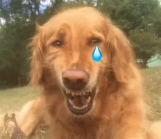 我的关键词比