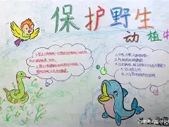 一线看点｜WTT澳门冠军赛开放售票：谁能先拿到主动权？